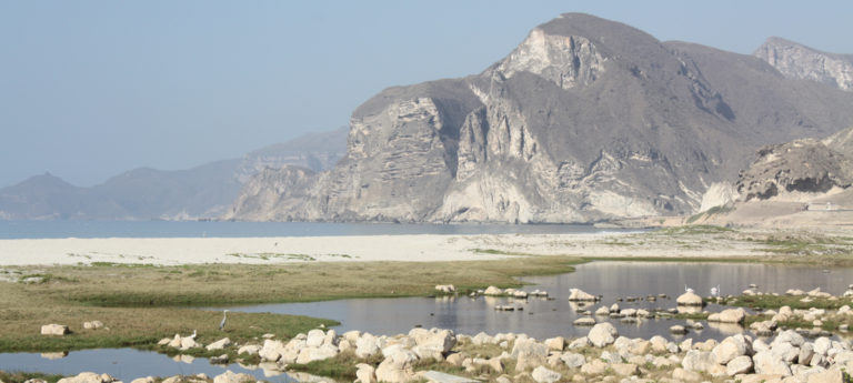 Oman Reise Salalah Mughsail Blowholes