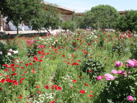 Garten Naqshbandi Buchara Rundreise Usbekistan