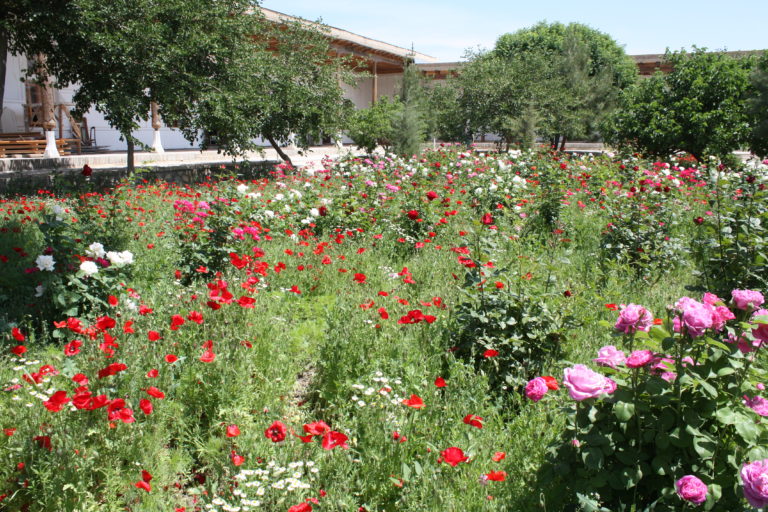 Garten Naqshbandi Buchara Rundreise Usbekistan